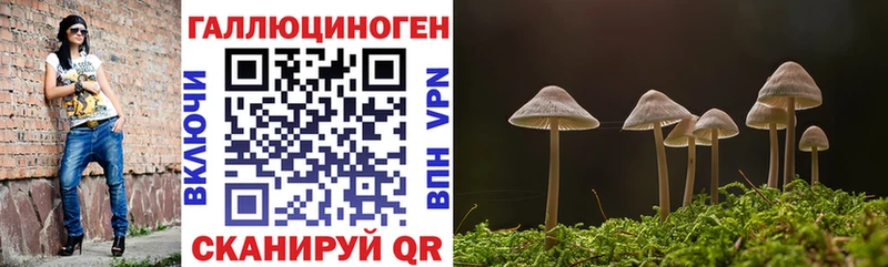 Галлюциногенные грибы Psilocybe  ОМГ ОМГ зеркало  Брянск 
