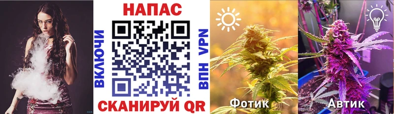 наркотики Брянск МАРИХУАНА VHQ